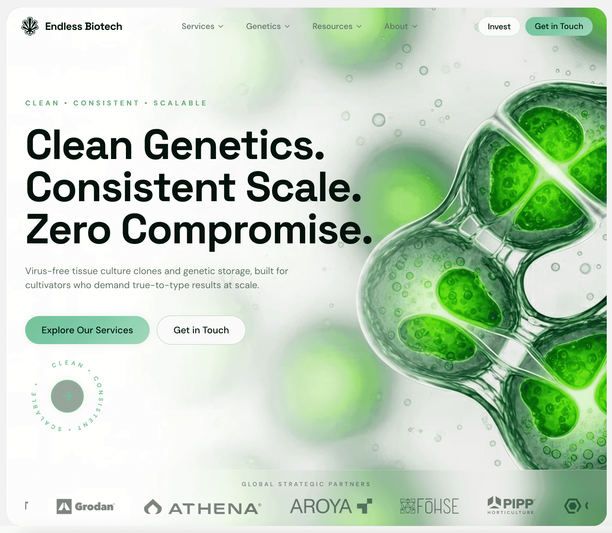 Endless Biotech